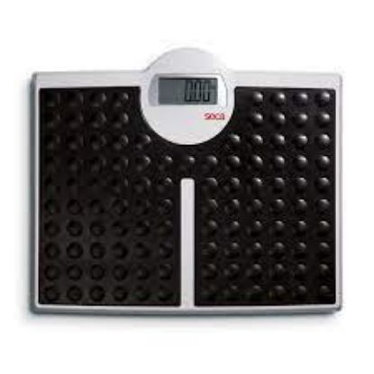 https://secaindia.in/images/thumbs/0001185_seca-813-very-high-capacity-electronic-flat-weighing-scale_415.jpeg