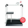 Seca 684 Dialysis Scale